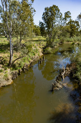 Fototapeta na wymiar Loddon River Downstream vert