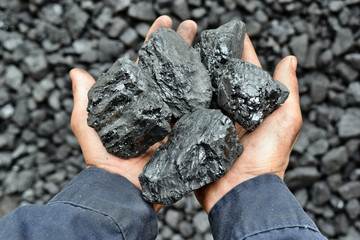 Coal in the hands of worker miner