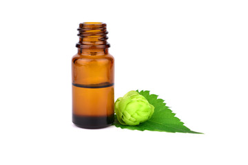 Hop or Hops Medicinal Plant Extract in Glass Bottle. Humulus lupulus Essential Oil. Isolated on White Background.