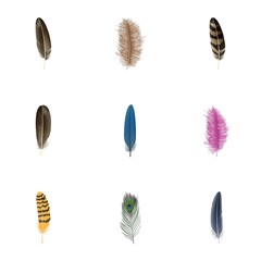 Feather icon set. Realistic set of feather vector icons for web design isolated on white background