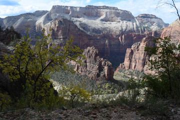 Amazing Rock Formations in Zion