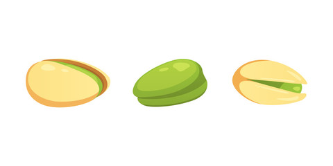 Set pistachio nut vector illustration in cartoon style. Organic food.