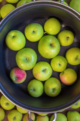 apples inside the bowl.