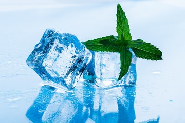 ice cubes with mint leaves
