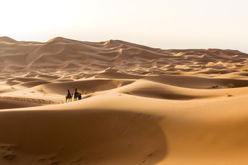 Fototapeta na wymiar in the desert