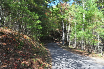 October Mountains
Fallen Leaves, soon it will be time for Winter