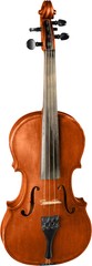 Fototapeta na wymiar Front View of a Violin, Isolated