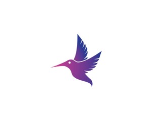 Hummingbird logo illustration