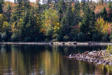 lake shore in autumn