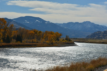 Fototapeta na wymiar October, Fall is on the Way.God's gift to us all. Near Yellowstone 