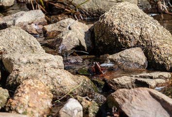 water flowing over rocks