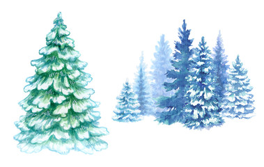 watercolor winter forest illustration, Christmas fir trees, frozen nature, conifer, holiday background, rural landscape, outdoor scene, isolated on white background