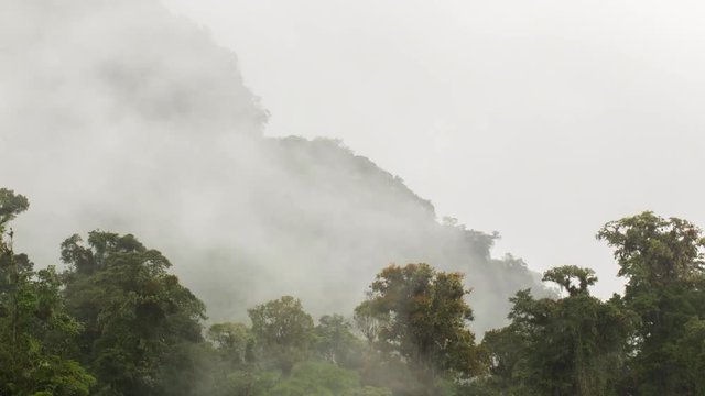 Time-lapse of mist and heavy rain falling onto montane rainforest in the Rio Quijos Valley in the Ecuadorian Amazon.