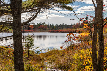 autumn in the park with lake and clouds in sky