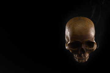 human skull on black background