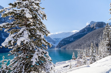 Snow Covered Trees Beside a Beautiful Turquoise Lake