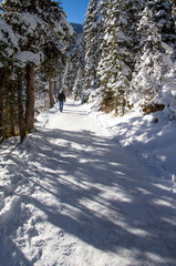 Man Hiking Snowy Path On Sunny Winter Day