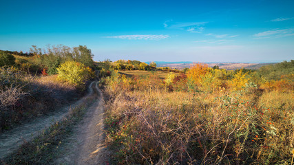 Dirt road in autumn nature landscape