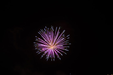 Fototapeta premium Purple firework explosion