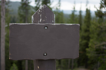 Rustic woodsy sign ready to add text