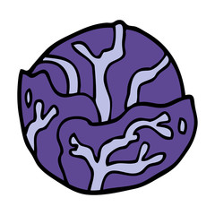 cartoon doodle cabbage