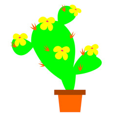 cactus, vector, cute, illustration, plant