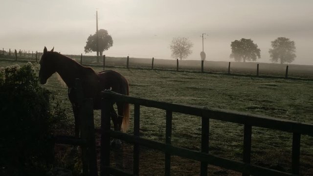 French Countryside 3