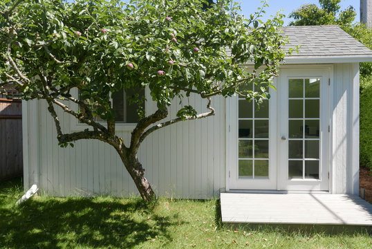 Handmade tiny house with apple tree