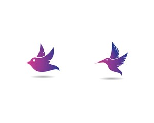 Hummingbird logo illustration