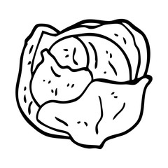 line drawing cartoon cabbage