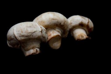 champiñones aislados en un fondo negro