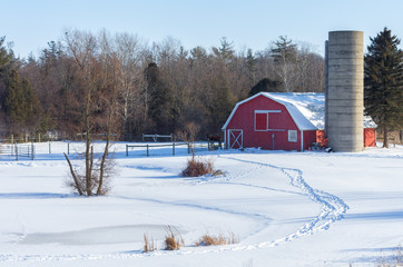 Path to Red Barn on Sunny Winter Day