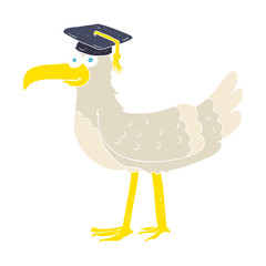 flat color illustration of a cartoon seagull with graduate cap