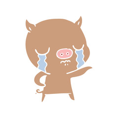 flat color style cartoon pig crying pointing