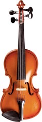 Fototapeta na wymiar Single Violin - Isolated