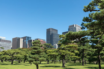 Fototapeta premium (Krajobraz miejski Tokio) Budynek biurowy Marunouchi 12 widziany od strony Uchibori Dori