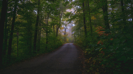 Fototapeta premium Fall_colors