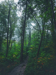 Obraz premium Fall_colors