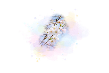 桜（パステルカラーの水彩画イメージ）
