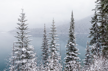 Fototapeta na wymiar Snowing on Fir Trees by Mountain Lake