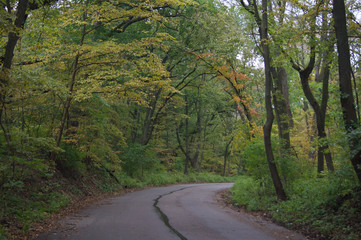 Fototapeta na wymiar Autumn Colors Pathways and Waterways 