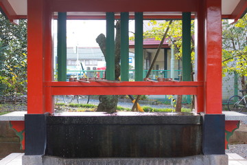 Fototapeta na wymiar 日本の神社の手水舎