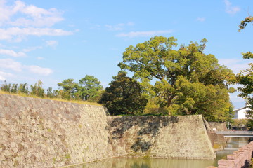 Fototapeta na wymiar 駿府城の城壁と緑
