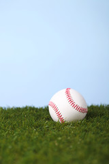 Baseball on green grass