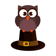 owl with pilgrim hat