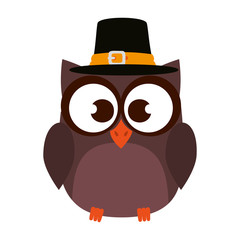owl with pilgrim hat