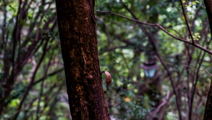 Captured in Hangzhou Xixi Wetland scenery