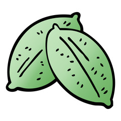 cartoon doodle leaf