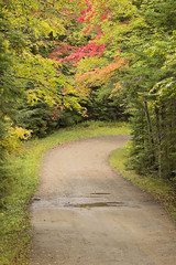 Country road winds through fall color trees in New England
