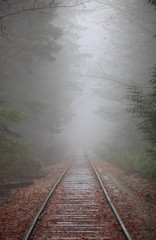tracks in fog, Train tracks, fog 